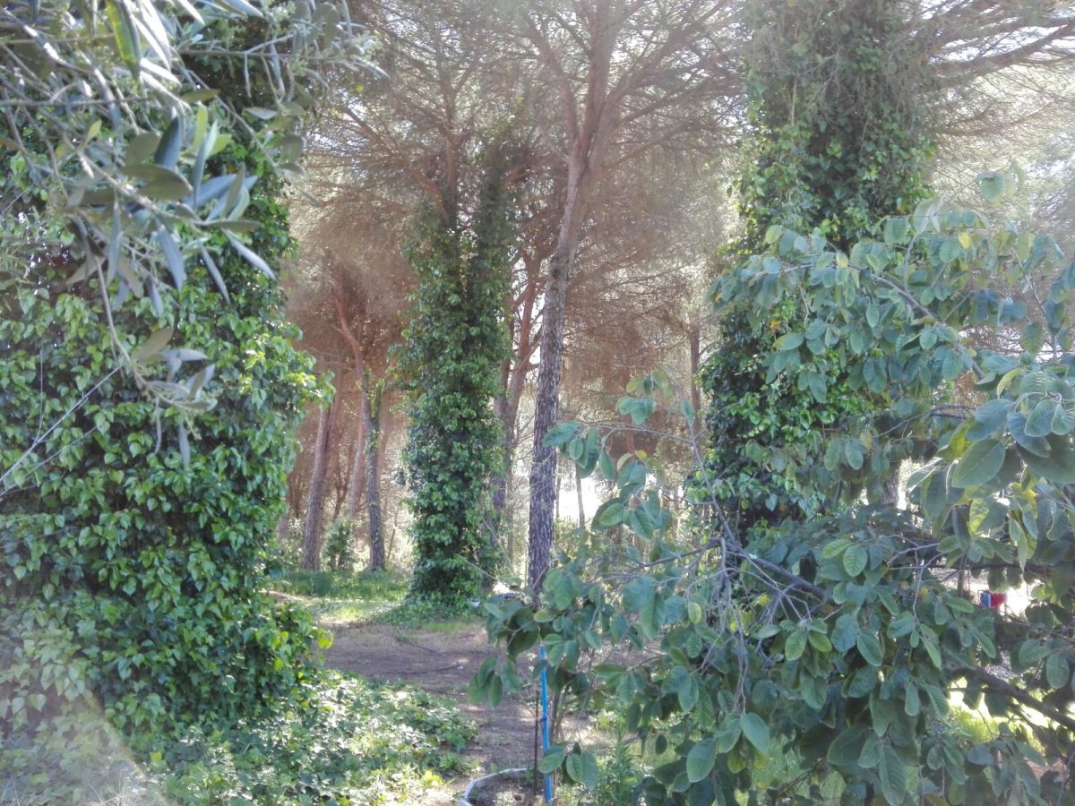 ESTUPENDA RESIDENCIA EN EL CAMPO