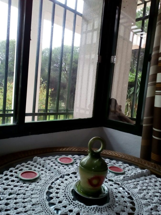 ESTUPENDA RESIDENCIA EN EL CAMPO