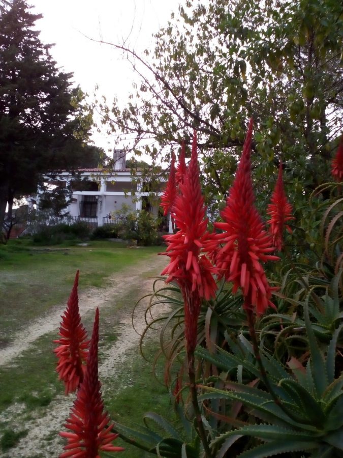 ESTUPENDA RESIDENCIA EN EL CAMPO