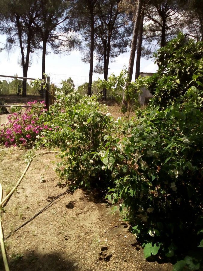 ESTUPENDA RESIDENCIA EN EL CAMPO