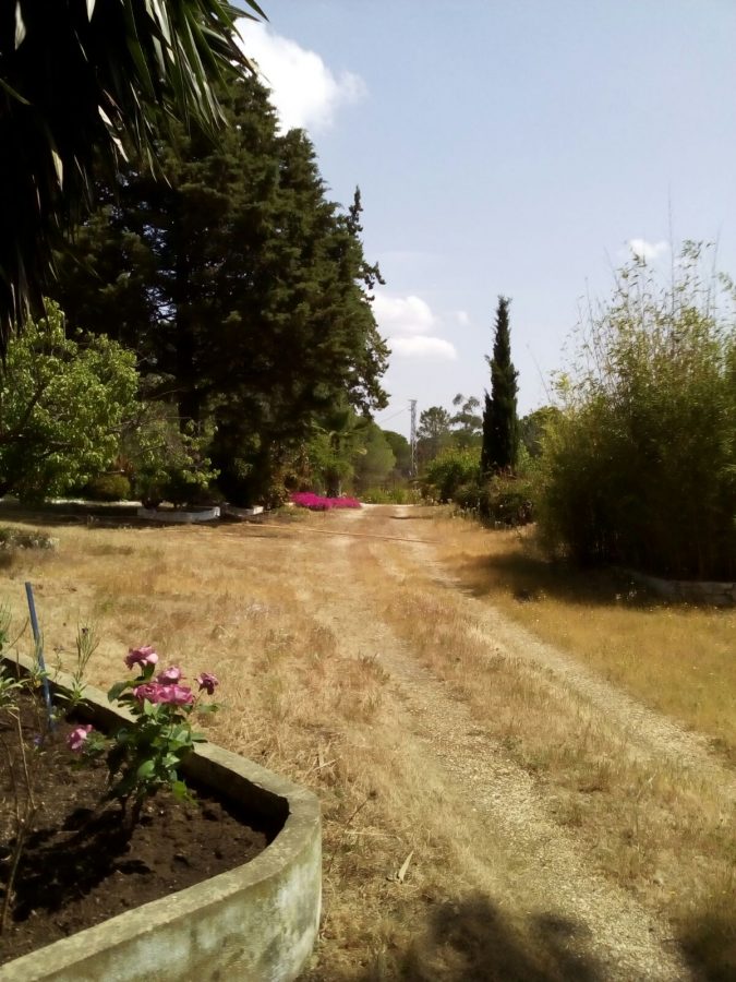 ESTUPENDA RESIDENCIA EN EL CAMPO