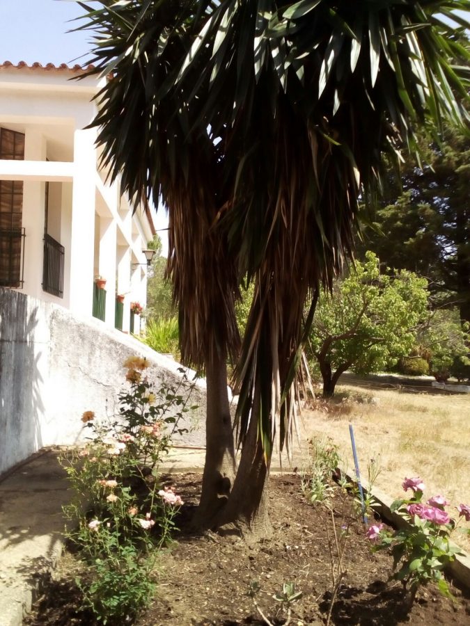 ESTUPENDA RESIDENCIA EN EL CAMPO