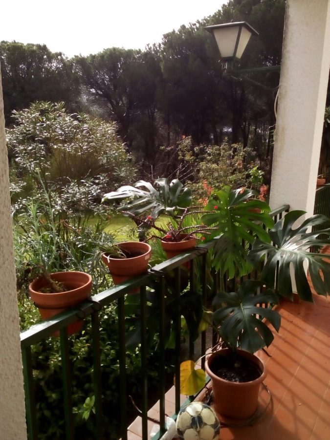 ESTUPENDA RESIDENCIA EN EL CAMPO