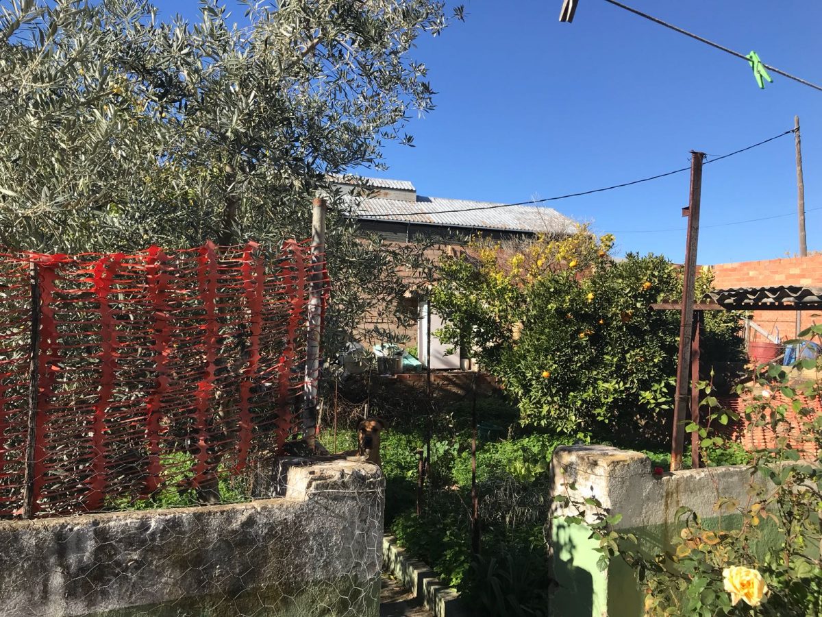 CASA Y PISO