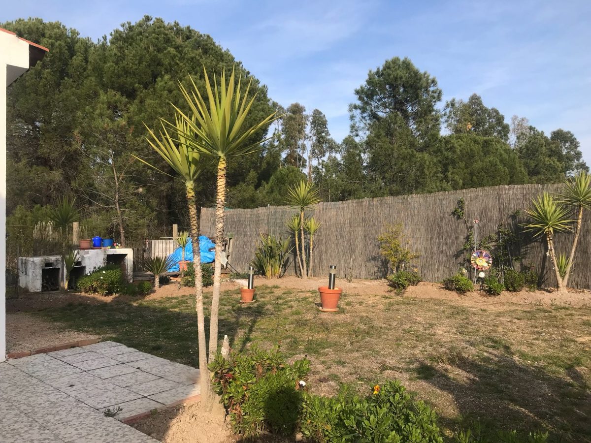 VIVIENDA, PARCELA Y TERRENO ANEXO