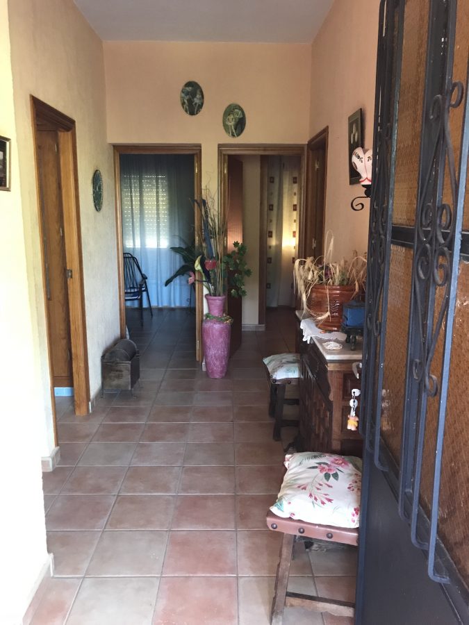 DOS CASAS DE AUTENTICO CAMPO EN LOS PINOS