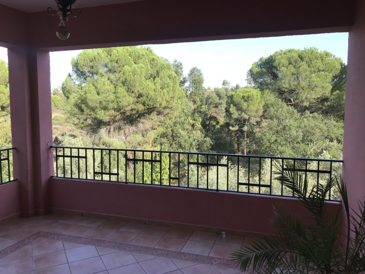 DOS CASAS DE AUTENTICO CAMPO EN LOS PINOS