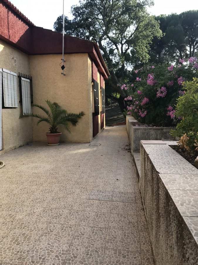 DOS CASAS DE AUTENTICO CAMPO EN LOS PINOS