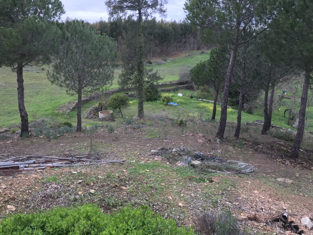 PRECIOSA FINCA RÚSTICA PARA DESCANSO