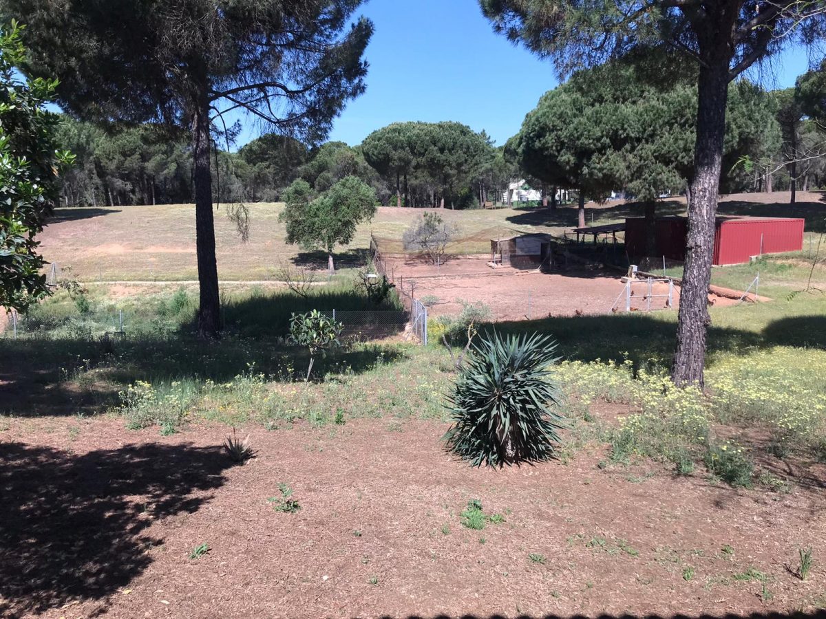 CHALET EN PUENTE CON PISCINA