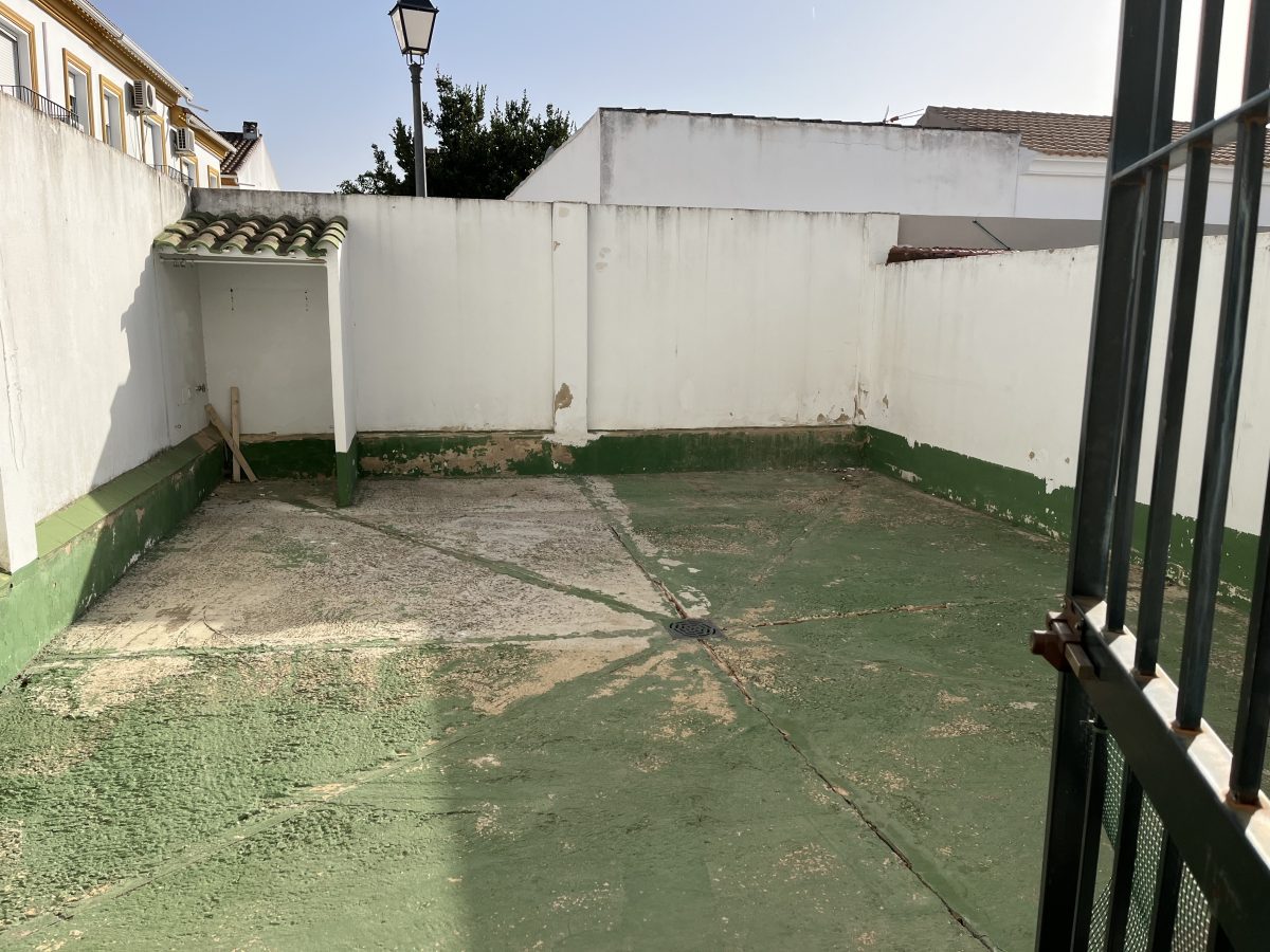 ADOSADO EN LA CARRASCA