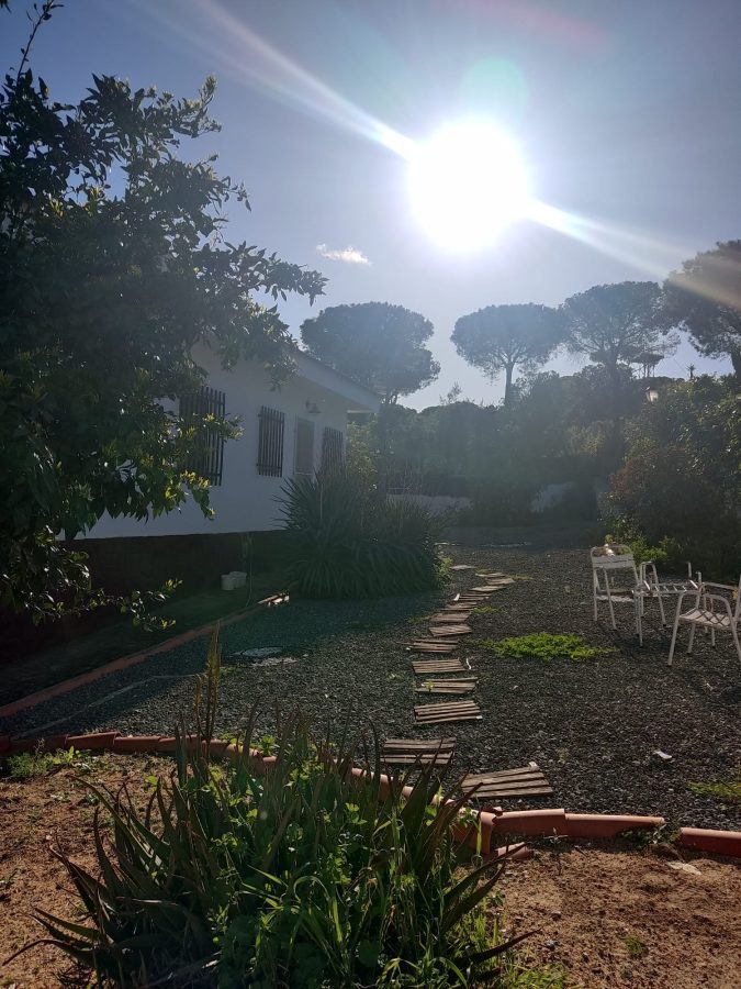 VIVIENDA CON PISCINA EN LOS PINOS