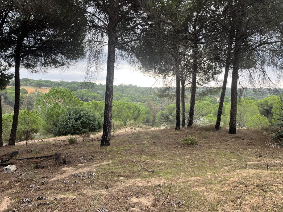 CHALET CON MIRADOR Y PISCINA EN PUENTE