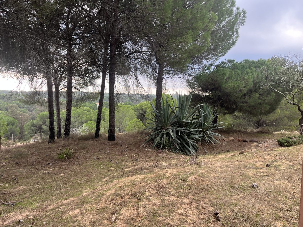 CHALET CON MIRADOR Y PISCINA EN PUENTE