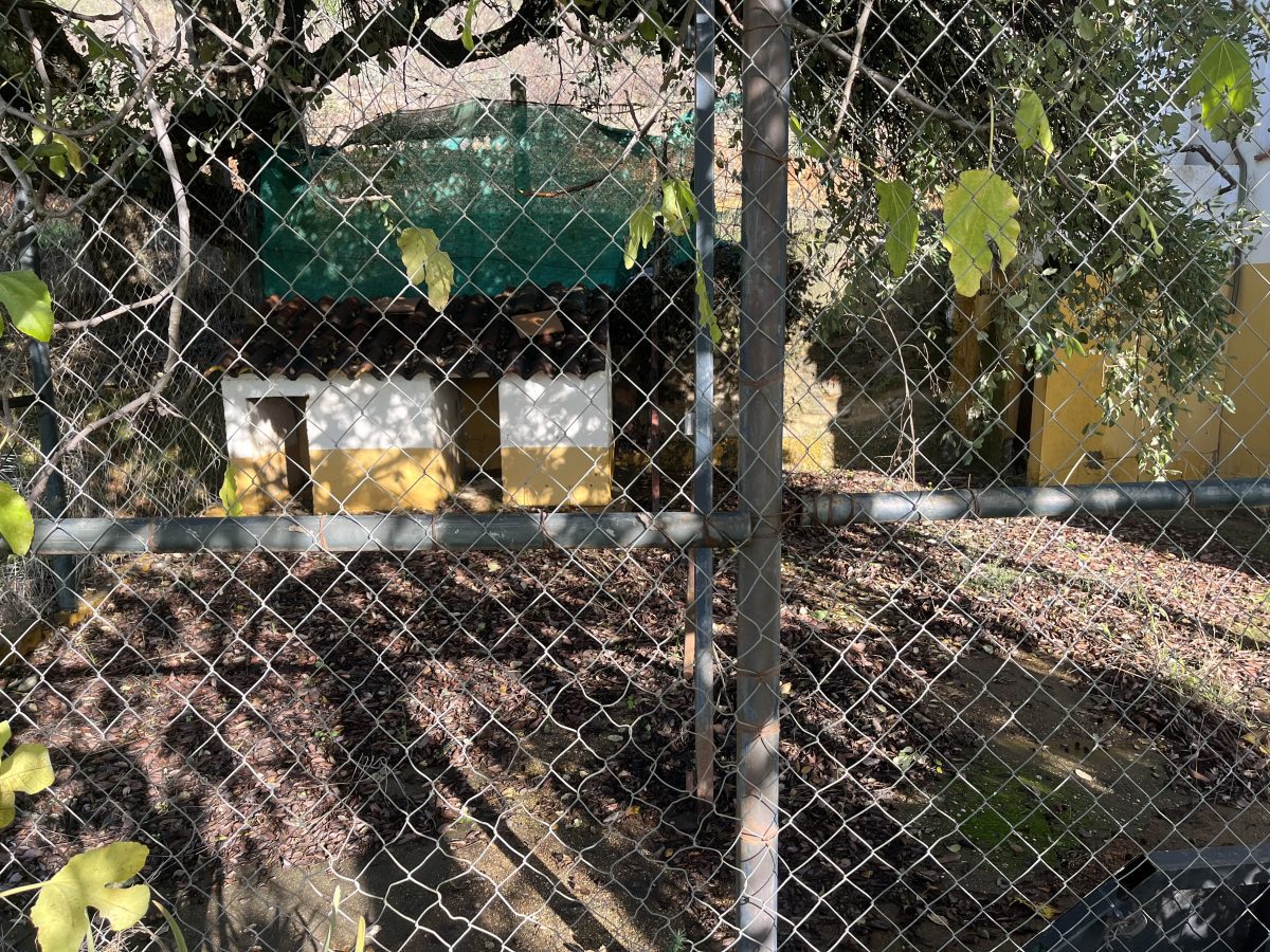 CASA CON PARCELA A 400 METROS DEL PUEBLO