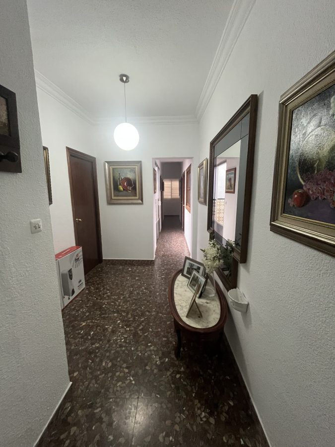 DOS VIVIENDAS EN ZONA CENTRO