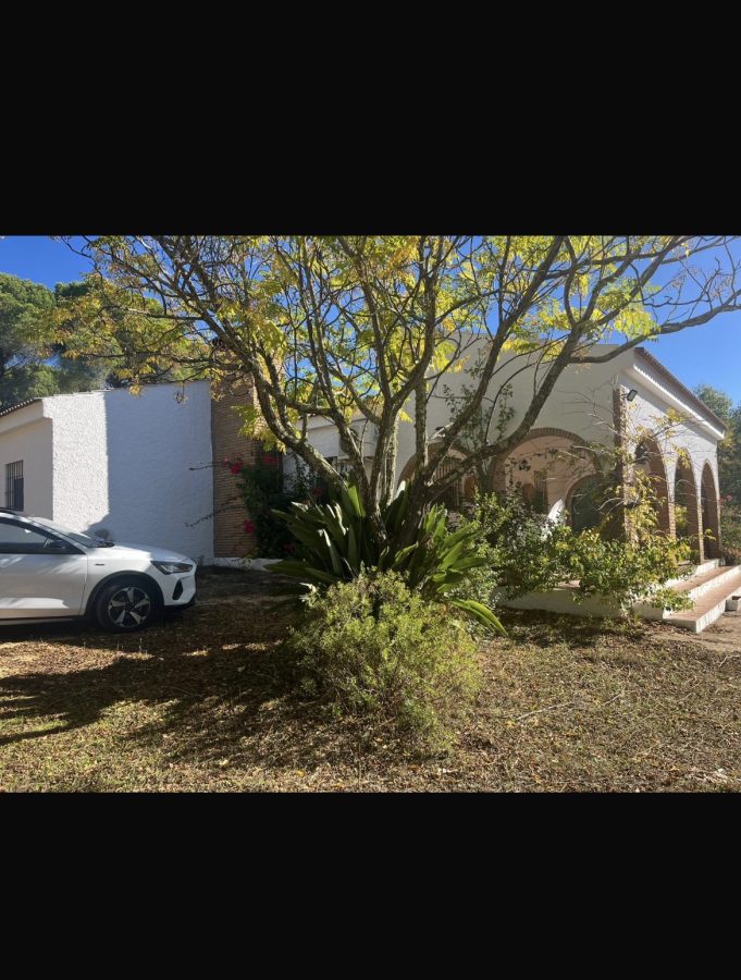 CHALET EN LOS PINOS CON INMEJORABLE UBICACIÓN