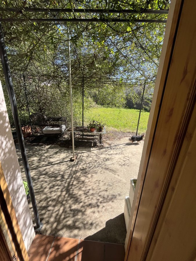 CHALET CON PISCINA EN LOS PINOS