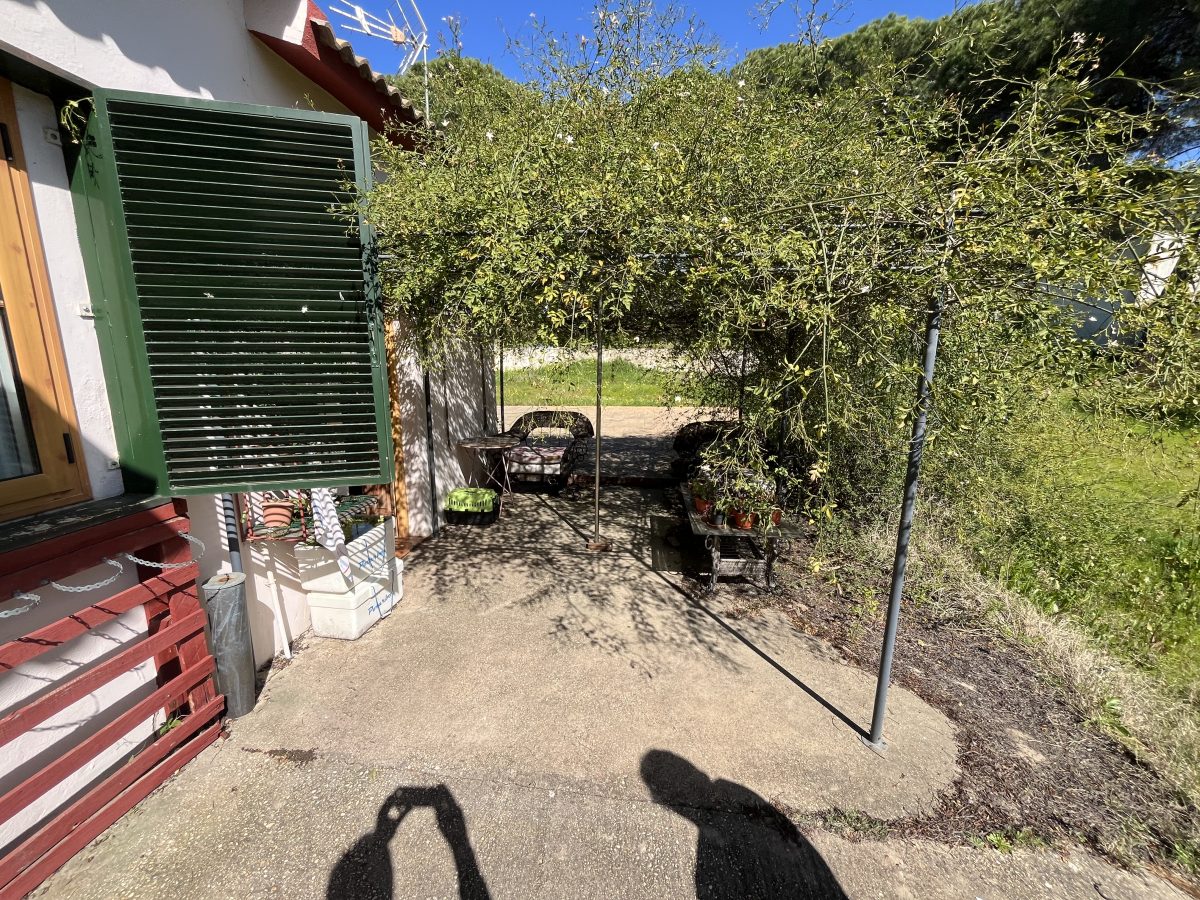 CHALET CON PISCINA EN LOS PINOS