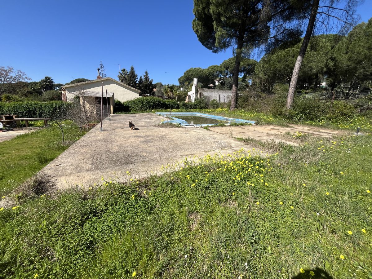 CHALET CON PISCINA EN LOS PINOS