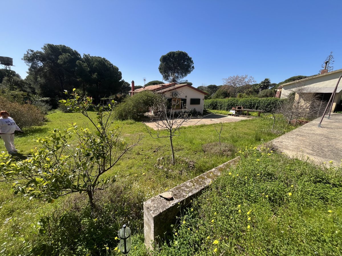 CHALET CON PISCINA EN LOS PINOS