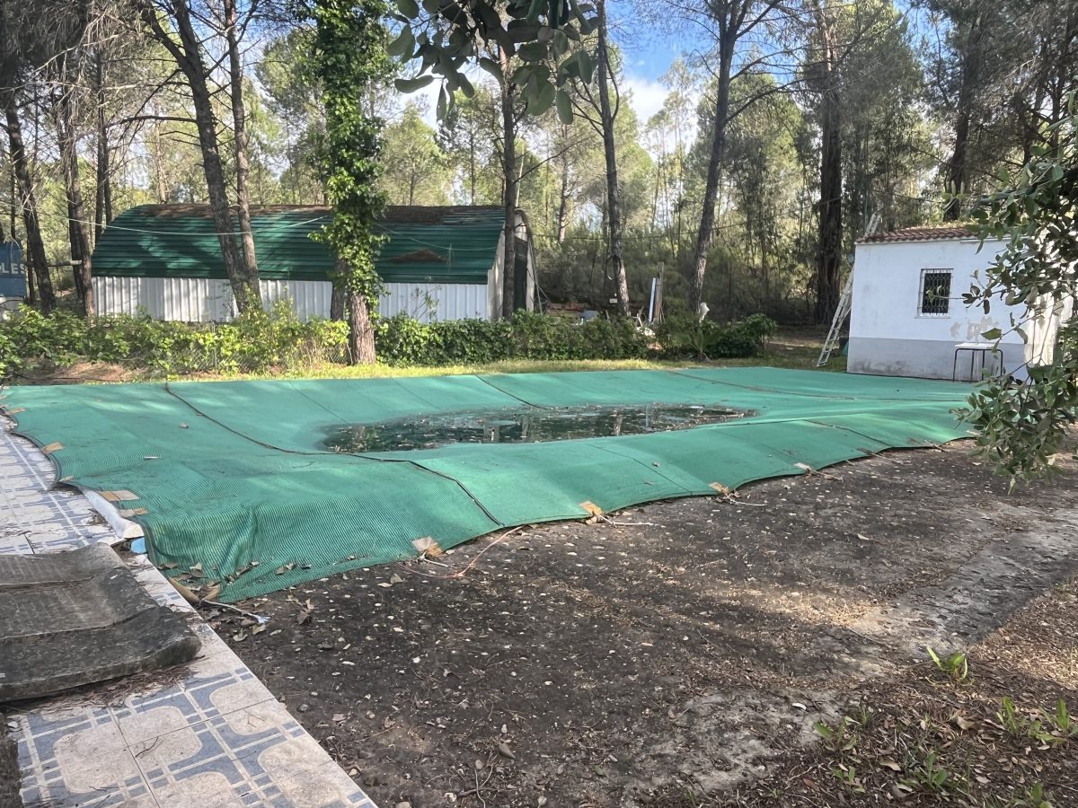 CHALET EN LOS PINOS CON PISCINA Y HUERTO