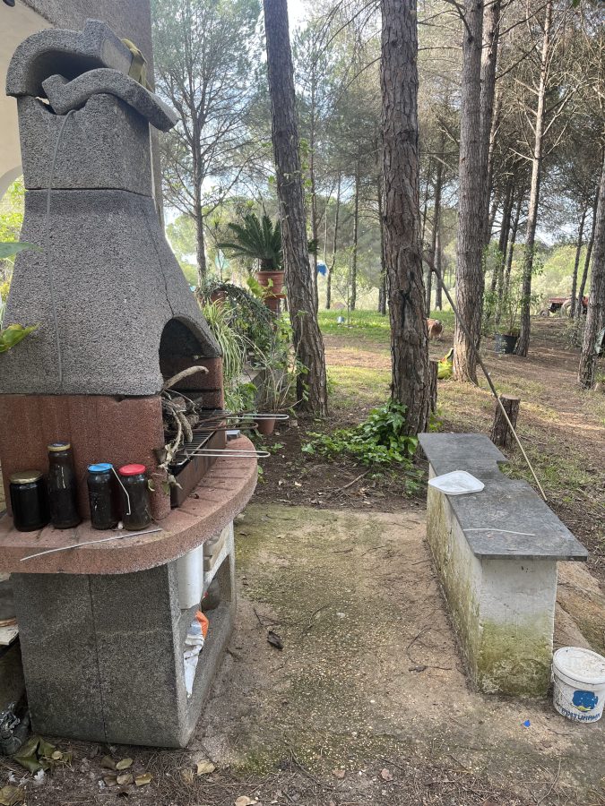 CHALET EN LOS PINOS CON PISCINA Y HUERTO
