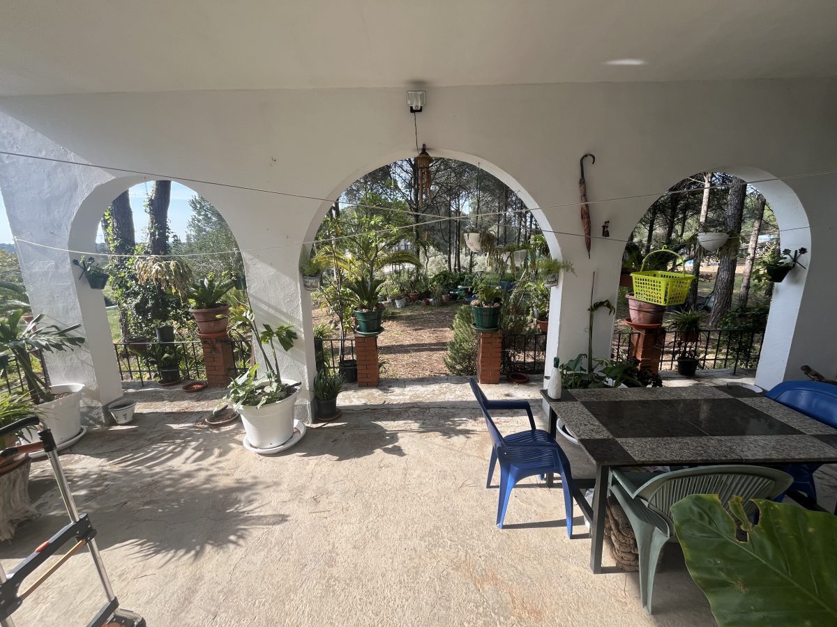CHALET EN LOS PINOS CON PISCINA Y HUERTO