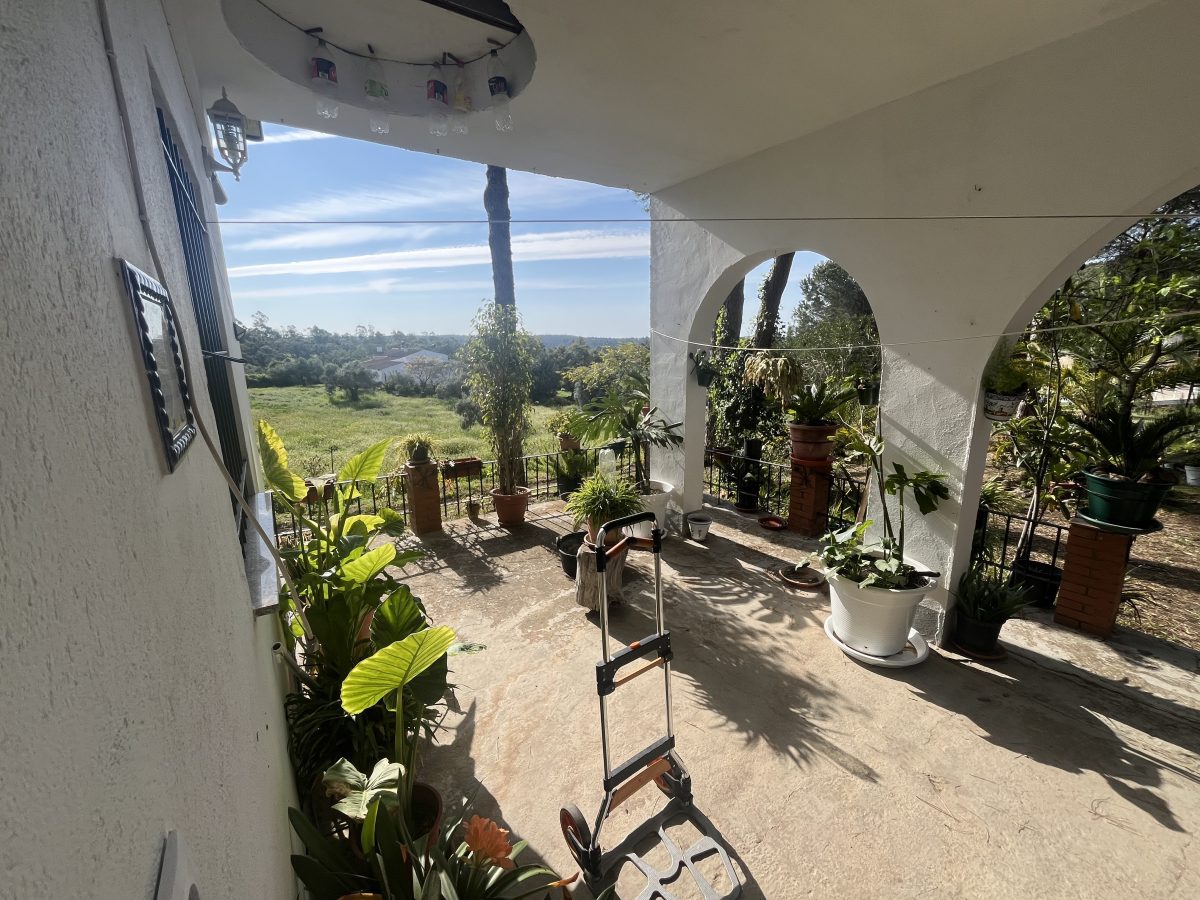 CHALET EN LOS PINOS CON PISCINA Y HUERTO