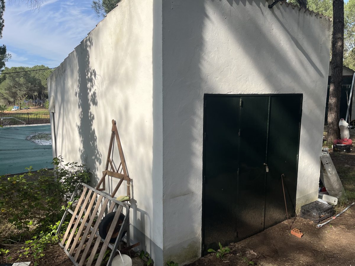 CHALET EN LOS PINOS CON PISCINA Y HUERTO