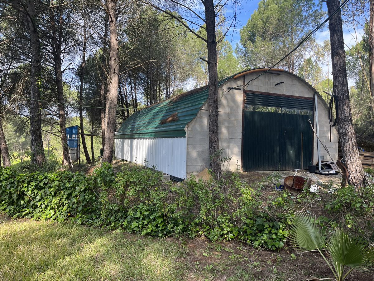 CHALET EN LOS PINOS CON PISCINA Y HUERTO