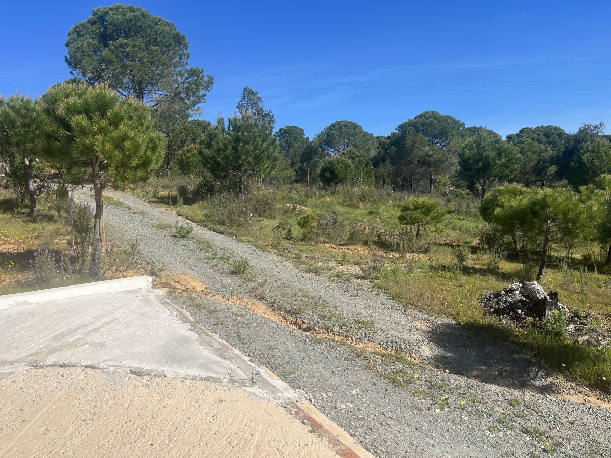 CASA EN LOS PINOS CON HUERTO